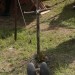 mini-IMG_1355